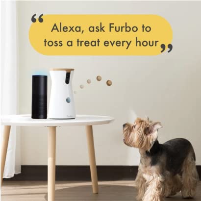 Furbo and alexa best sale