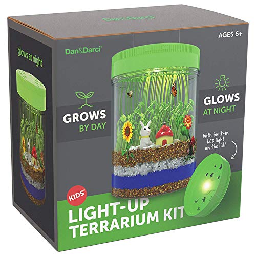 Light Up Terrarium Kit for Kids STEM Activities Science Craft Kits Jolinne