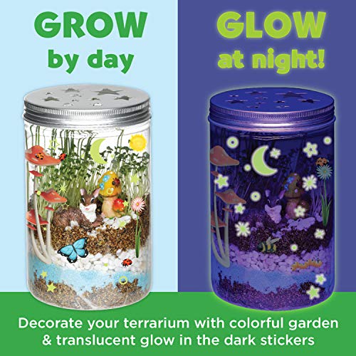  Creativity for Kids Grow 'N Glow Terrarium Kit for Kids -  Educational Science Kits Ages 6-8+, Kids Gifts for Boys and Girls, Craft  and STEM Projects : Everything Else