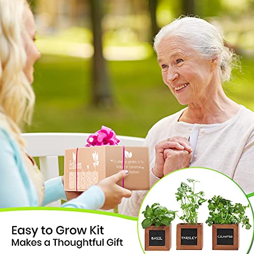 Indoor Herb Garden Kit with Wooden Herb Planters, Basil, Oregano & Thyme Organic Herb Seeds. A Complete Gardening Kit with Everything to Grow Herb Plants. Great Gardening Gifts for Women & Men.