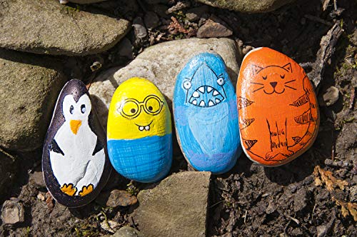 Rock Painting Outdoor Activity Kit for Kids – DIY Art Set w/ 10 Hide a -  Jolinne