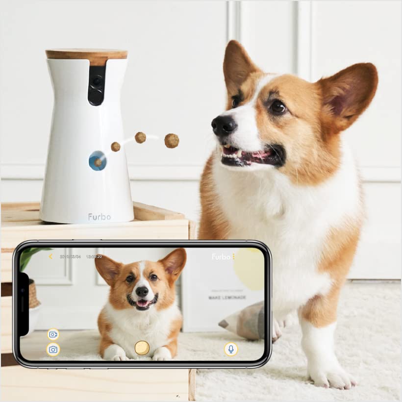 Furbo dog treat outlet camera