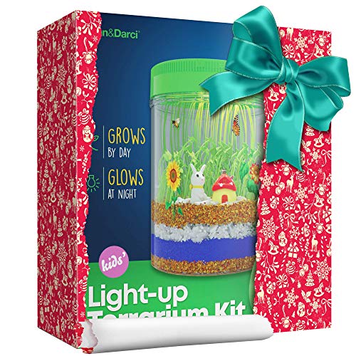 Light-Up Terrarium Kit for Kids - STEM Activities Science Craft Kits - Kids Crafts Gifts for Kids - Educational Kids Toys - Arts and Crafts for Girls & Boys Ages 4 5 6 7 8-12 Year Old Boy & Girl Gift