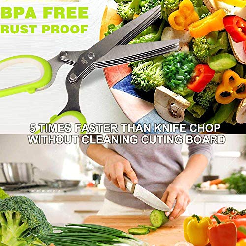 Herb Scissors Set with 5 Blades and Cover - Multipurpose Kitchen Chopping  Shear