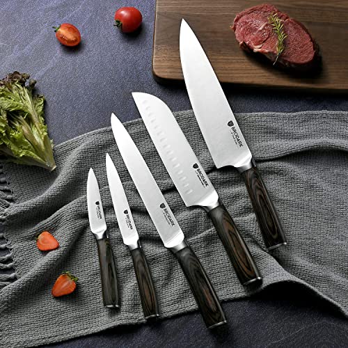Brewin Knife Set, 15-Piece Kitchen Knife Set with Block, German Stainless  Steel Sharp Knives Set for Kitchen with Built-in Sharpener, Ergonomic TPR